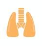 lungs-01