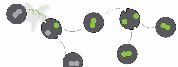 Vertical_Gene_Transfer