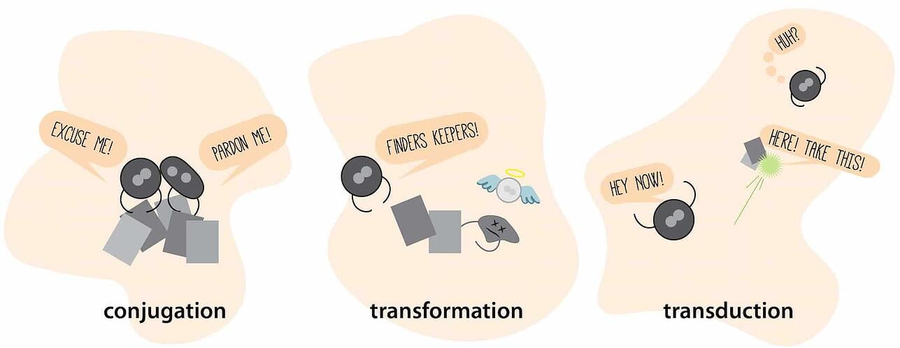 horizontal_gene_transfer_methods