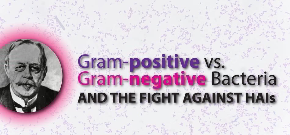 Gram Positive vs Gram Negative Bacteria and the Fight Against HAIs