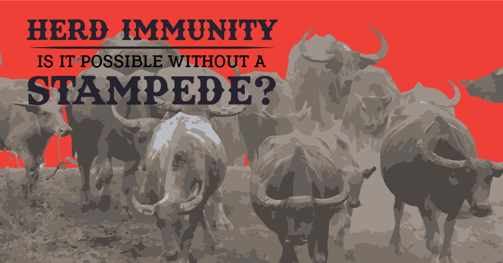 stampede herd immunity-01