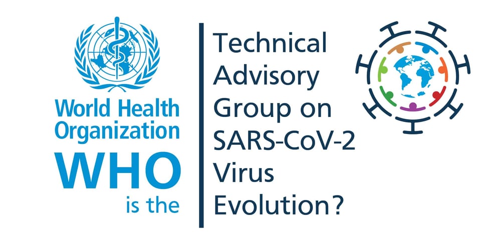 WHO is the Technical Advisory Group on SARS-CoV-2 Virus Evolution?