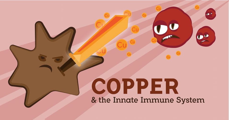 Copper and Our Innate Immune System