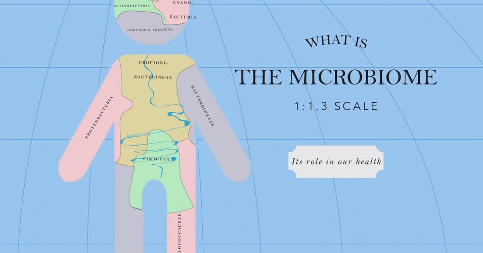 What is the Microbiome?