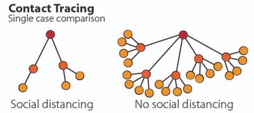 Contact tracing comparison-01