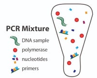 PCR mixture vial-01