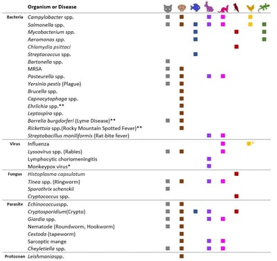 pet chart