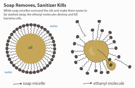 soap vs. sanitizer-01-1