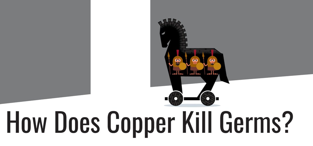 How does copper kill germs?
