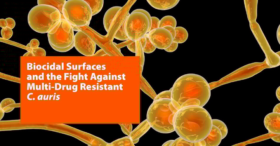 Biocidal Surfaces and the Fight Against Multi-Drug Resistant C. auris