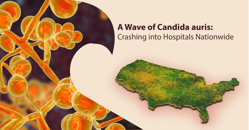 A Wave of Candida auris infections: Crashing in Hospitals Nationwide