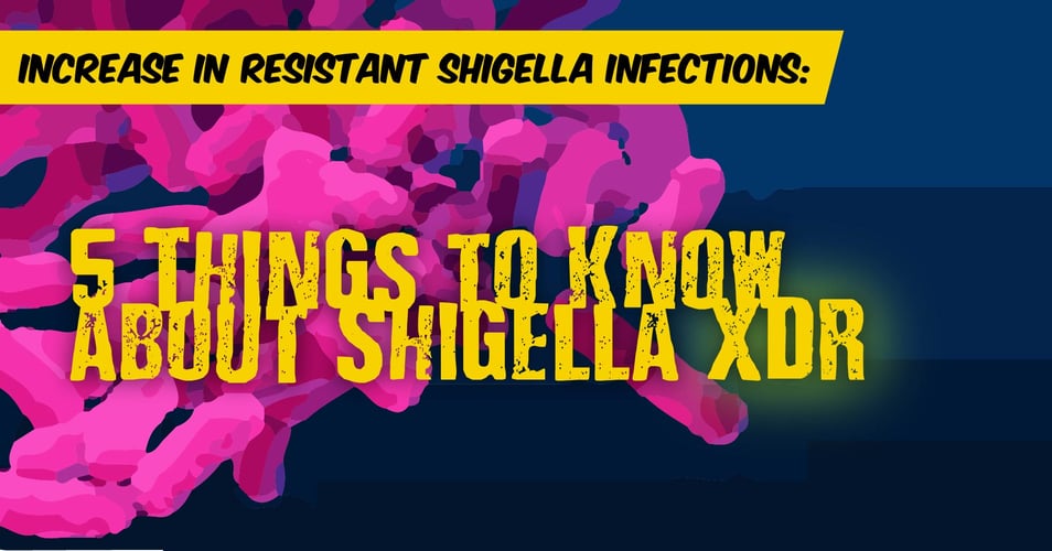 Increase in Resistant Shigella Infections: 5 Things to Know about Shigella XDR