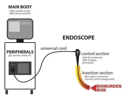 endoscope system basic componets