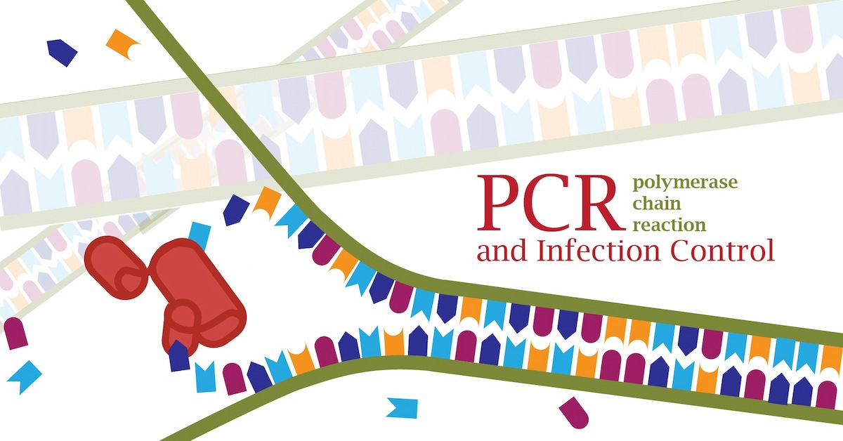 PCR DNA-01