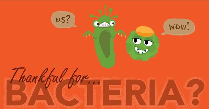 Thankful for Bacteria