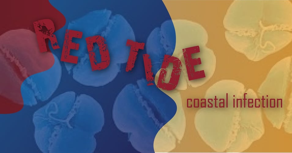 Red Tide: A Coastal Infection