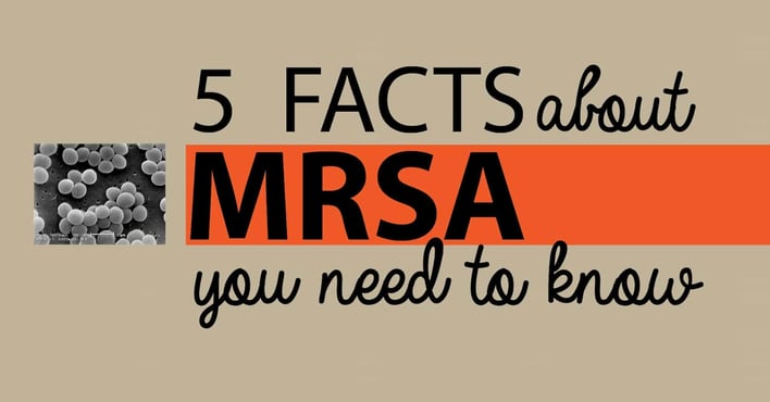 5 Facts About Mrsa You Need To Know 8998