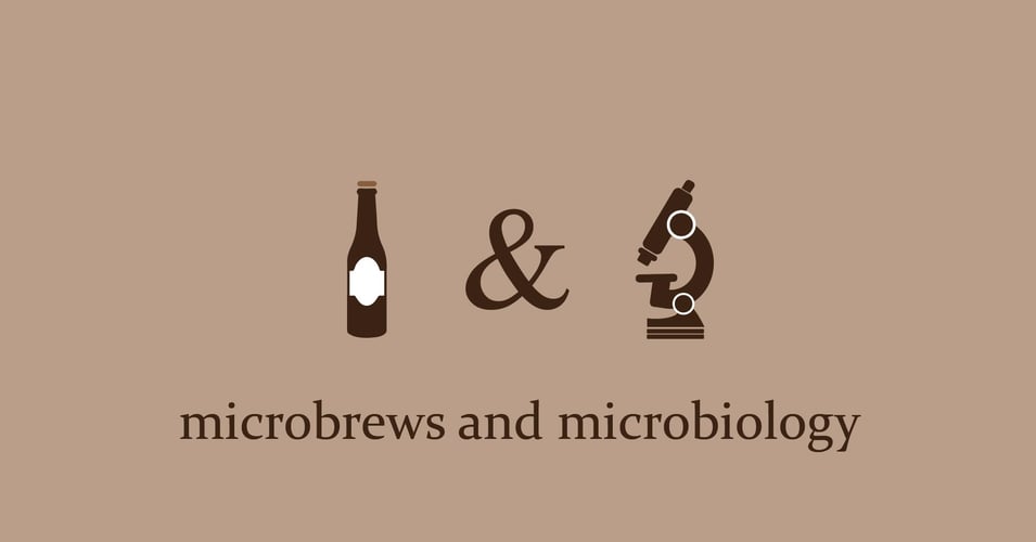 Beer-and-Microbiology