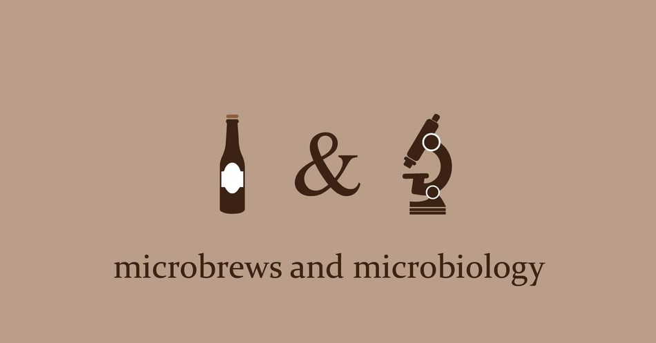 Microbrews and Microbiology