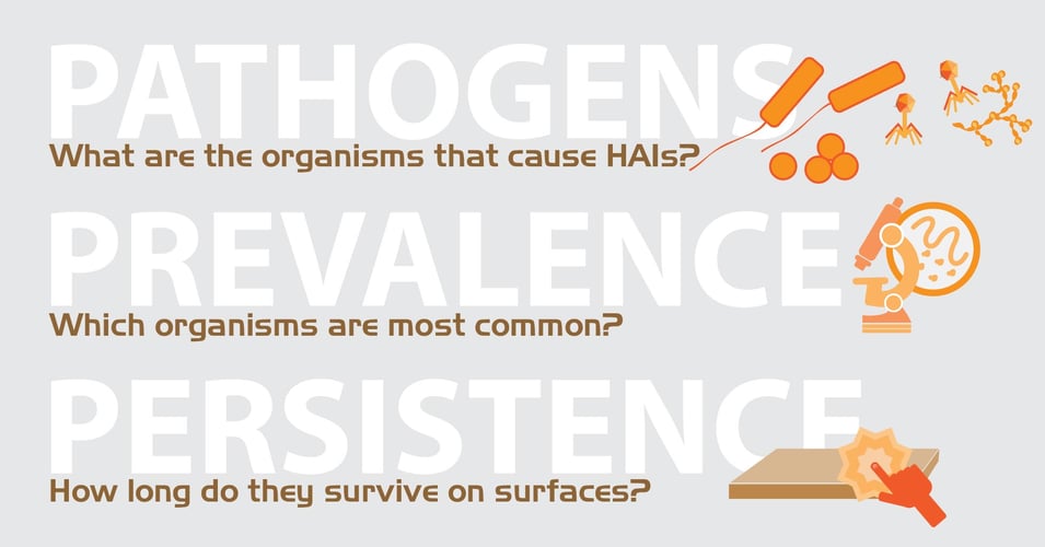 Pathogen, Persistence, and Prevalence