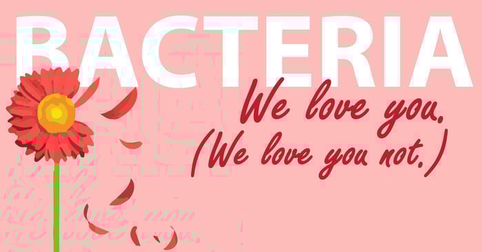 love hate bacteria 2017-01.jpg