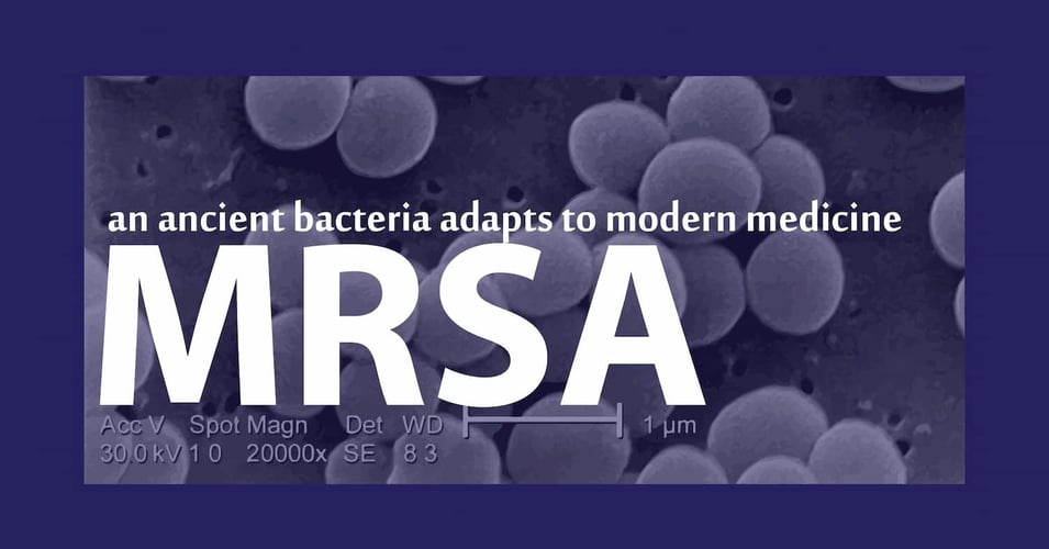 MRSA: An Ancient Bacteria Adapts to Modern Medicine