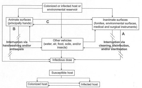 Rutala_Model_Germs_Spread_Theory