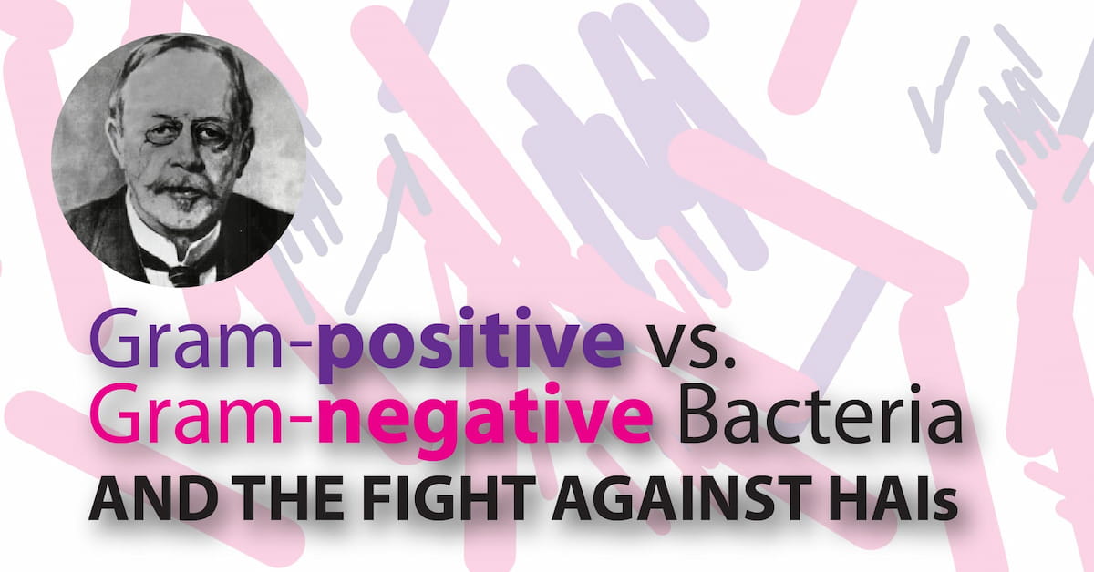 gram negative rods and gram positive cocci