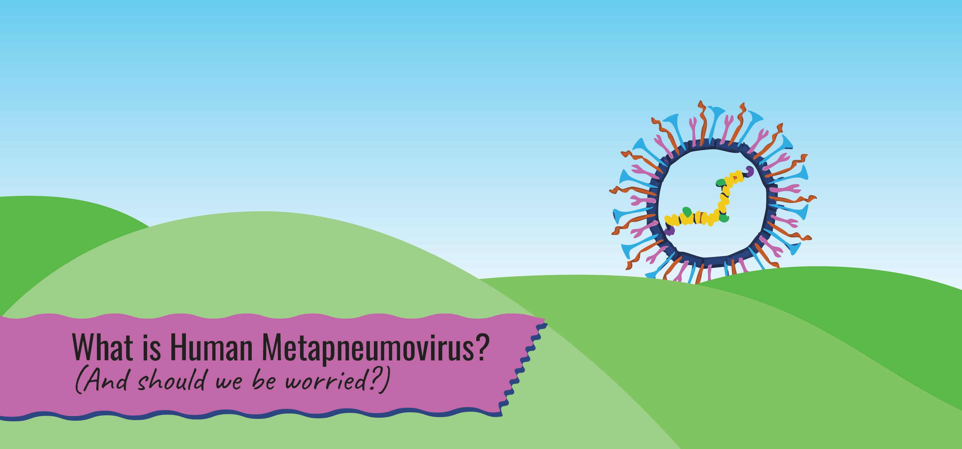 What is Human Metapneumovirus? (And should we be worried?)